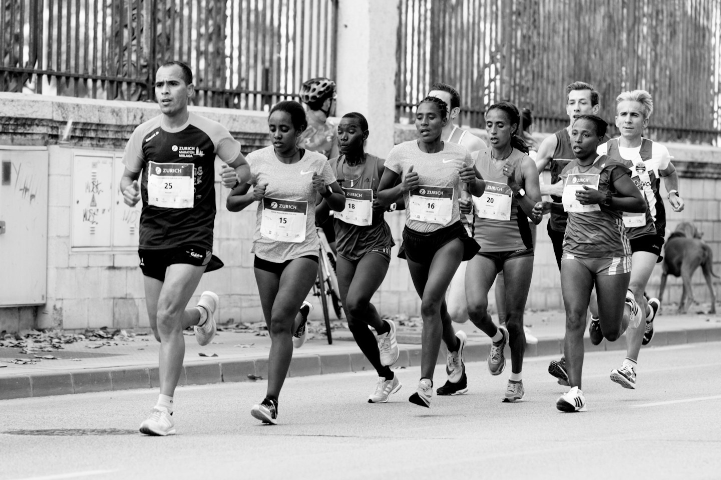Marathon runners race past a building and metal fence.